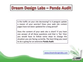 Google Panda Audit
