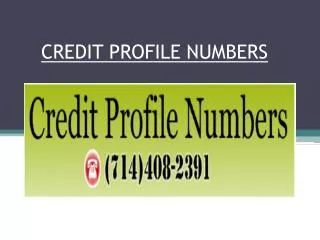 Credit Profile Number