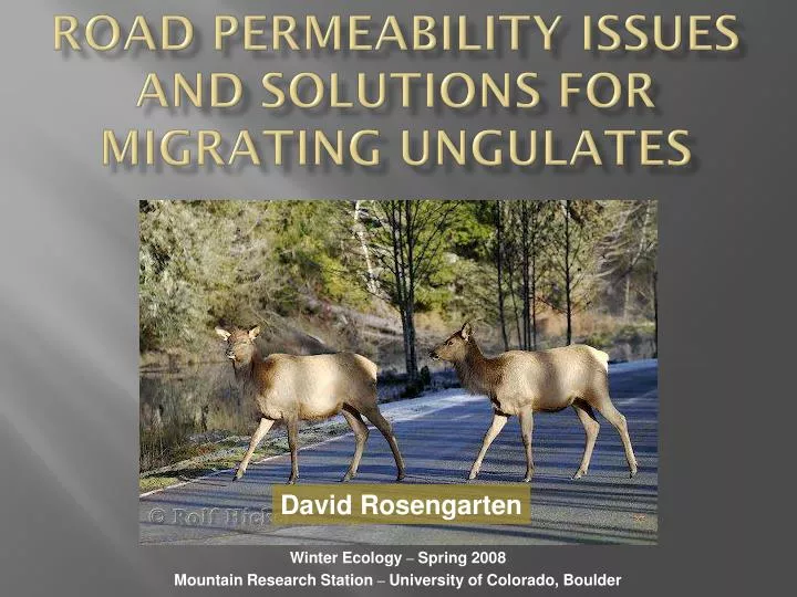 road permeability issues and solutions for migrating ungulates