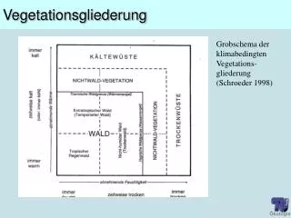Vegetationsgliederung