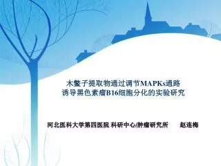 mapks b16