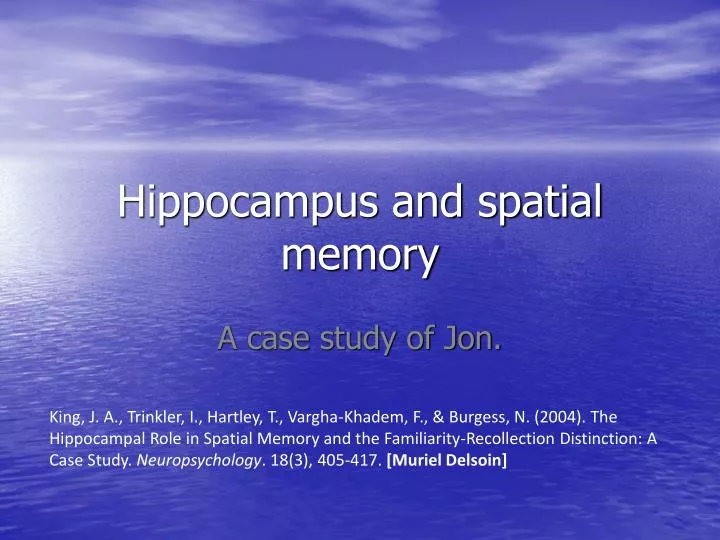 hippocampus and spatial memory