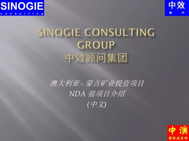 sinogie consulting group
