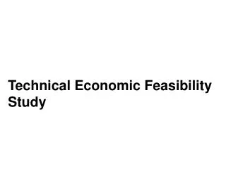 Technical Economic Feasibility Study