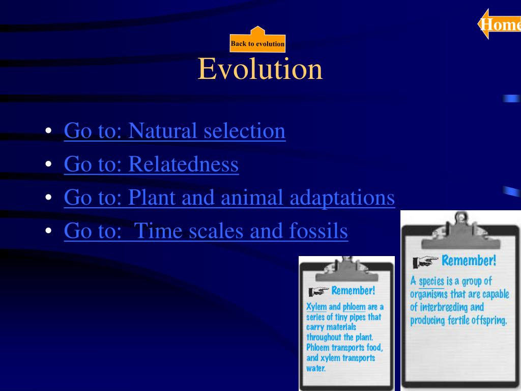 PPT - Evolution PowerPoint Presentation, free download - ID:6941298
