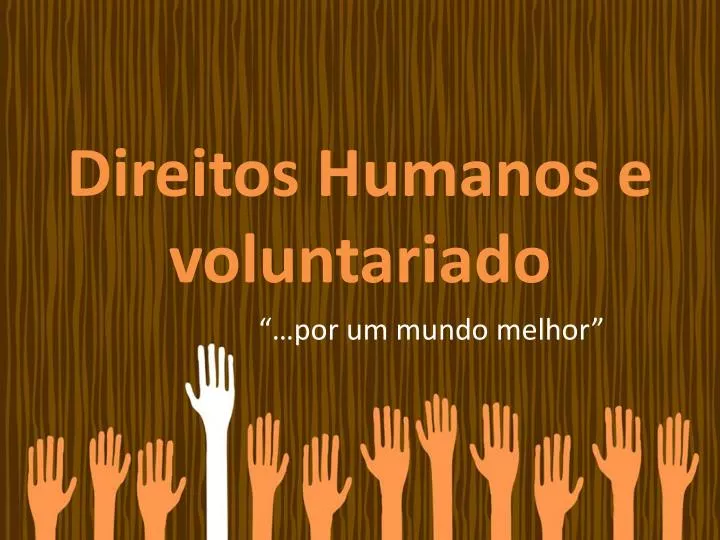 direitos humanos e voluntariado