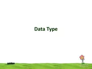 data type