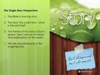 The Single Story Perspective The Bible is one big story