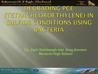 Degrading PCE ( Tetrachloroethylene ) In Sulfide Conditions using Bacteria
