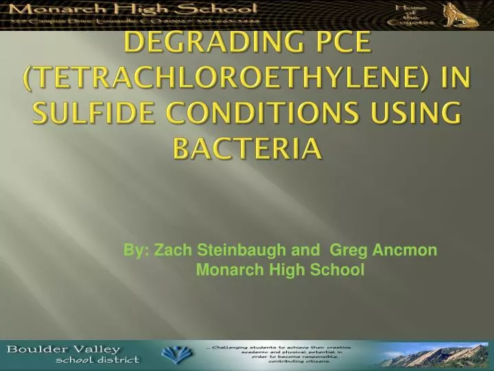 degrading pce tetrachloroethylene in sulfide conditions using bacteria