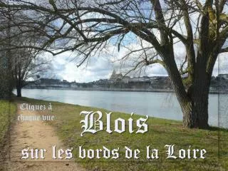 Blois sur les bords de la Loire