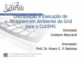 Distribuição e Execução de Wrappers em Ambiente de Grid para o CoDIMS