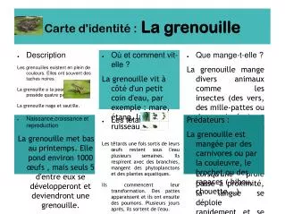 carte d identit la grenouille