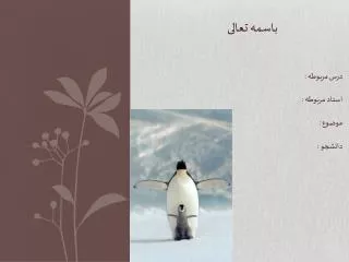 slide1
