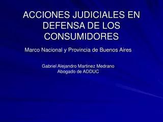 ACCIONES JUDICIALES EN DEFENSA DE LOS CONSUMIDORES