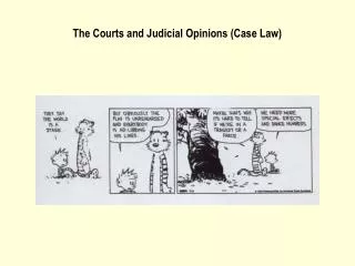 The Courts and Judicial Opinions (Case Law)