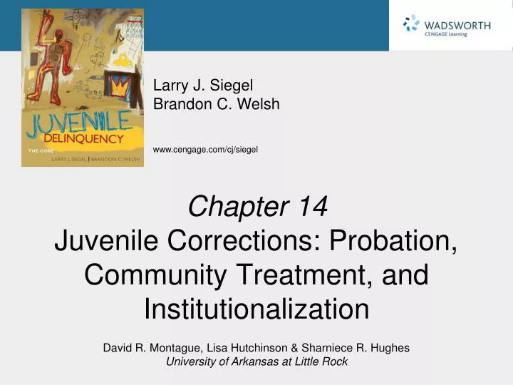 chapter 14 juvenile corrections probation community treatment and institutionalization