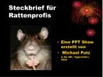 Steckbrief für Rattenprofis - slide 1