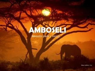 amboseli