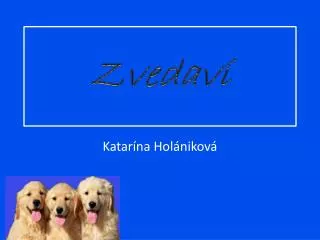 zvedav