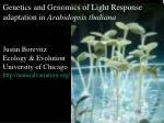Genetics and Genomics of Light Response Adaptation in Arabidopsis thaliana - slide 1