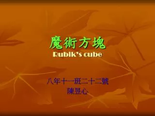 魔術方塊 Rubik’s cube