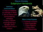 common characteristics internal skeleton of cartilage or bone - slide 1