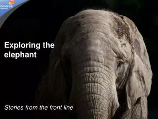 Exploring the elephant Stories from the front line