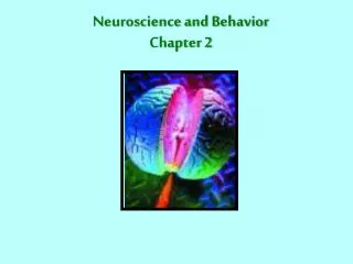 Neuroscience and Behavior Chapter 2