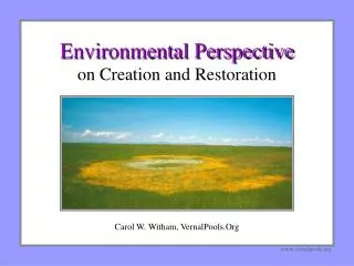 Environmental Perspective on Creation and Restoration