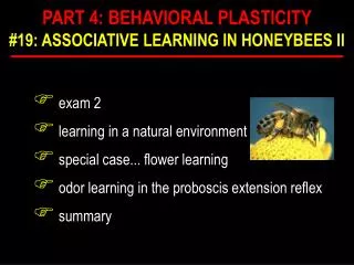 exam 2 learning in a natural environment special case... flower learning