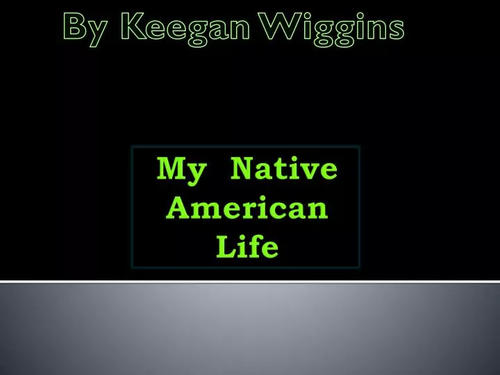 my native american life