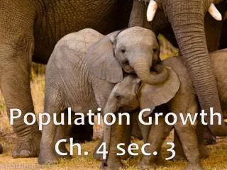 Population Growth Ch. 4 sec. 3