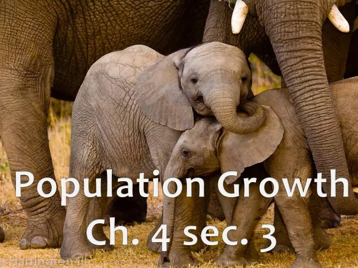 population growth ch 4 sec 3