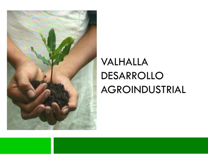 valhalla desarrollo agroindustrial