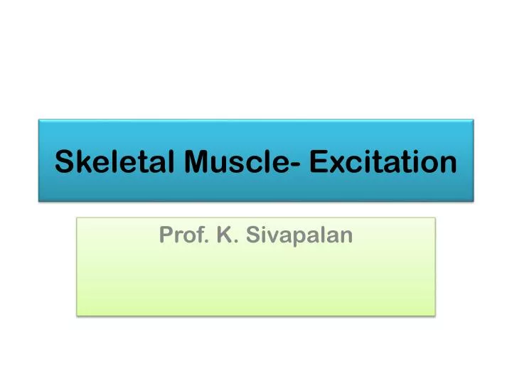skeletal muscle excitation