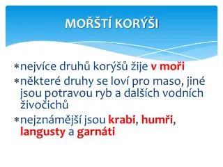 MOŘŠTÍ KORÝŠI