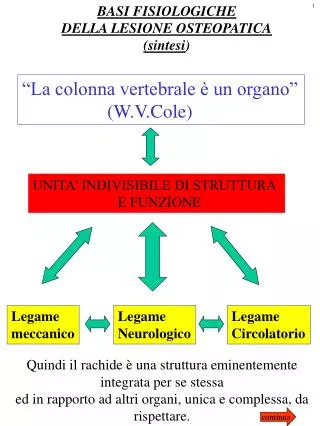 BASI FISIOLOGICHE DELLA LESIONE OSTEOPATICA (sintesi )