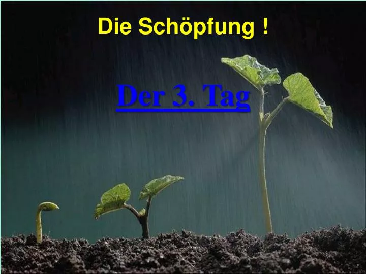 die sch pfung