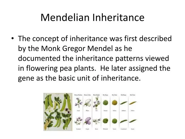 mendelian inheritance