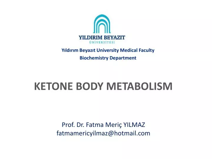 ketone body metabolism