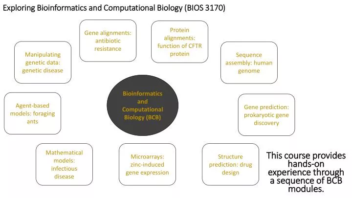 exploring bioinformatics and computational biology bios 3170