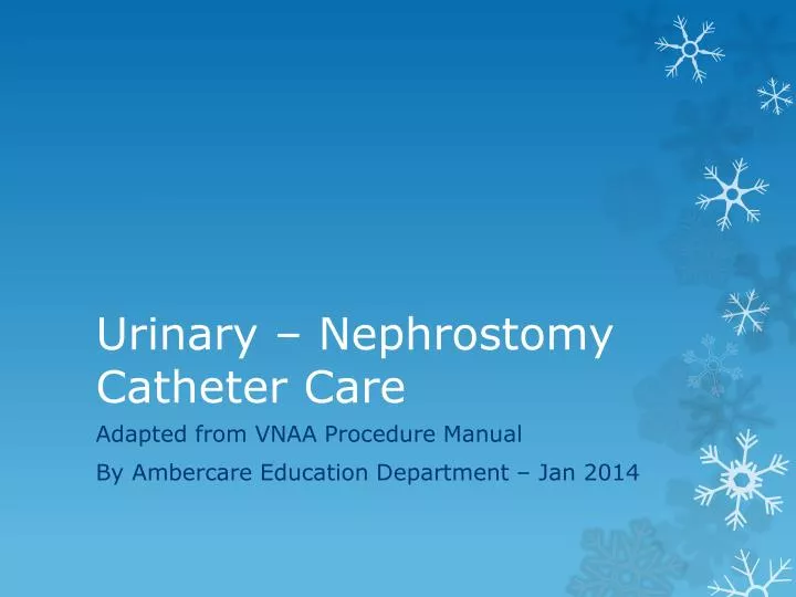 urinary nephrostomy catheter care