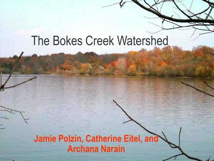 the bokes creek watershed