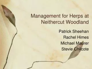 Management for Herps at Neithercut Woodland