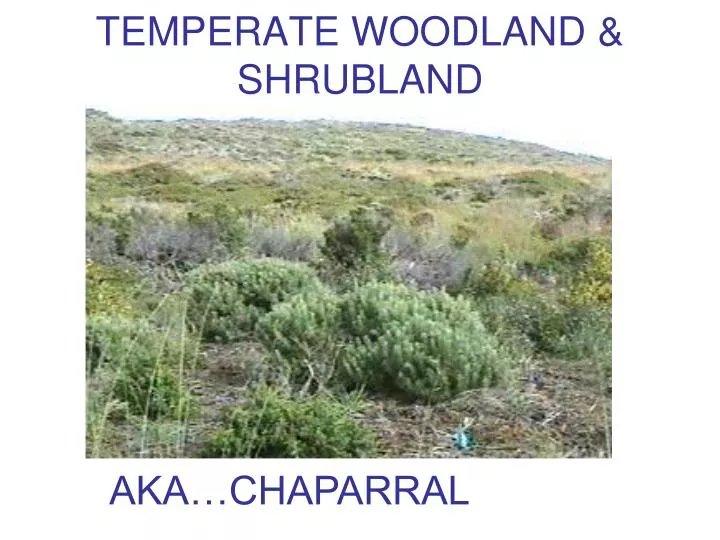 temperate woodland shrubland
