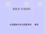第四章 牙周组织 - slide 1