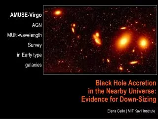 AMUSE-Virgo AGN MUlti-wavelength Survey in Early type galaxies
