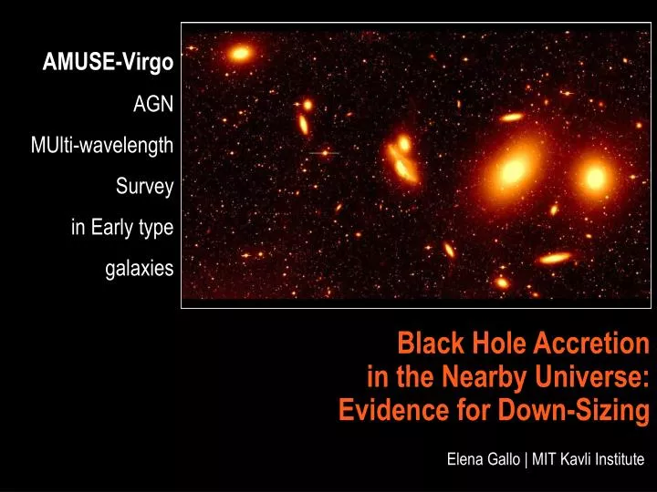 amuse virgo agn multi wavelength survey in early type galaxies