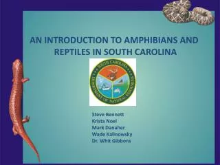 AN INTRODUCTION TO AMPHIBIANS AND REPTILES IN SOUTH CAROLINA